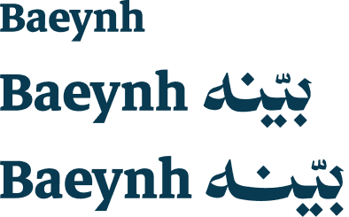 Baeynh customer & lawyer apps - New Design System One system powering both apps - design 5